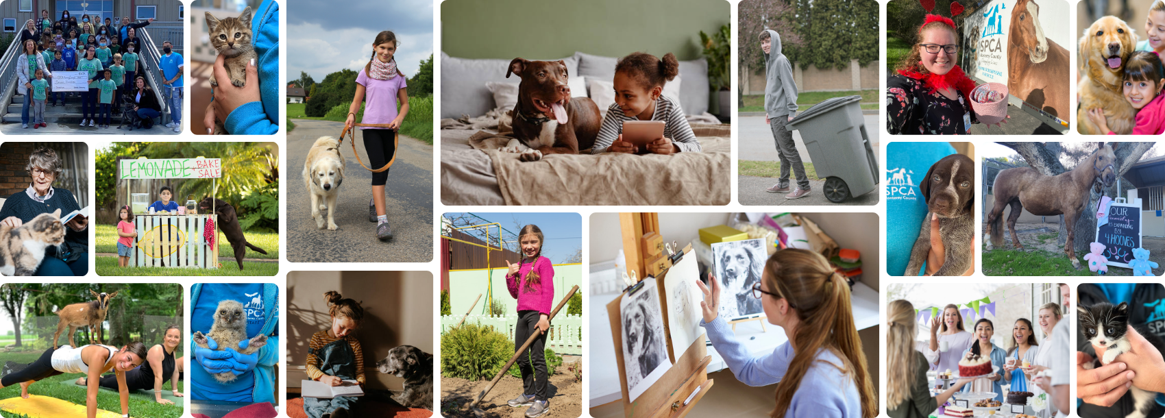 Fundraisers photo collage