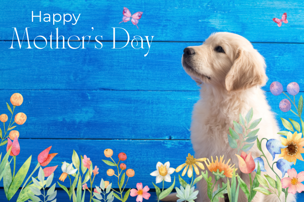 Happy Mother's Day