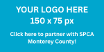 YOUR LOGO HERE 150 x 75 px.png