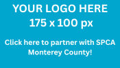 YOUR LOGO HERE 175 x 100 px.png