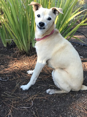 Charlie says . . . "Can you please help?"