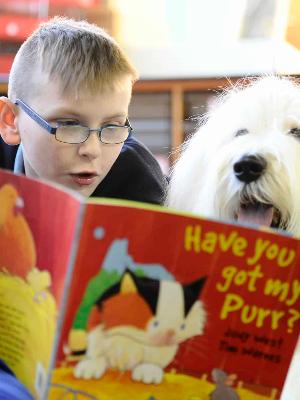 Read To Pets, Raise Money For Shelter Animals
