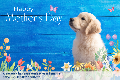 Mother's Day Puppy (Blue)