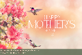 Mother's Day Hummingbird