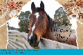 Mother's Day Horse